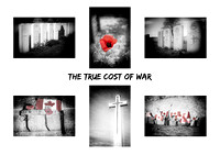 The True Cost of War