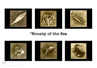 Bounty of the Sea