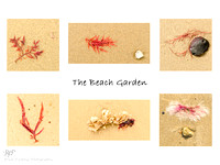 Beach Garden