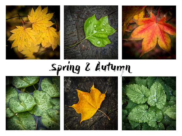 Spring and Autumn